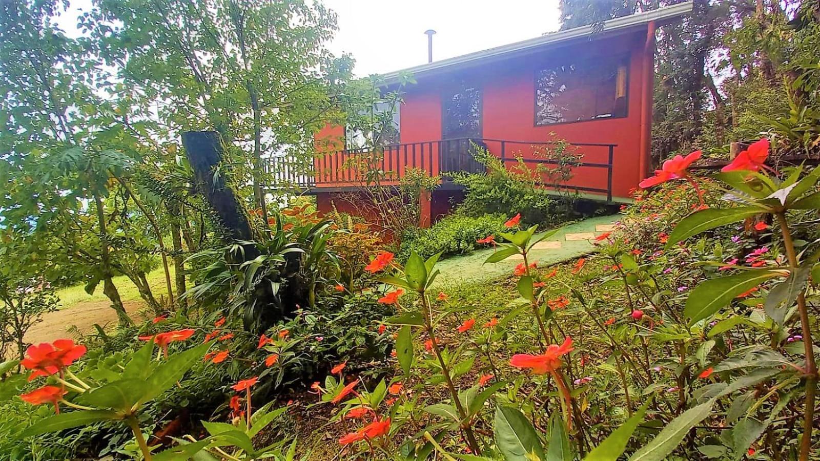 Casa De Montana Tica Linda Villa Monteverde Exterior photo